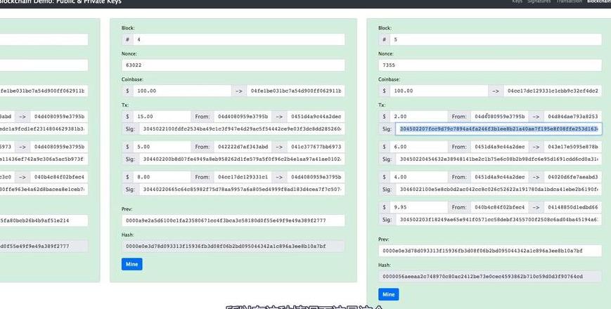 Blockchain-Verschlüsselung: Asymmetrische Algorithmen und ihre Bedeutung