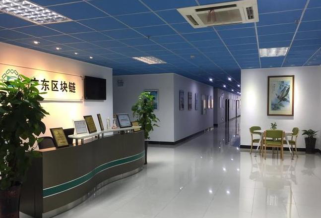 Guoxin (Shenzhen) Blockchain Technology Co., Ltd. – Unternehmensprofil und Geschäftsgebiete