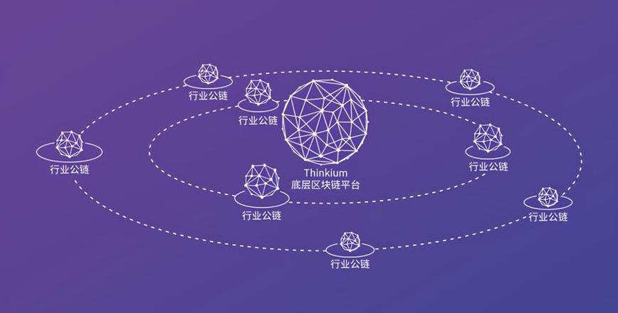 Top 5 der weltweit bekanntesten Public Chains: Bitcoin, Ethereum, Polkadot, Cardano und Solana