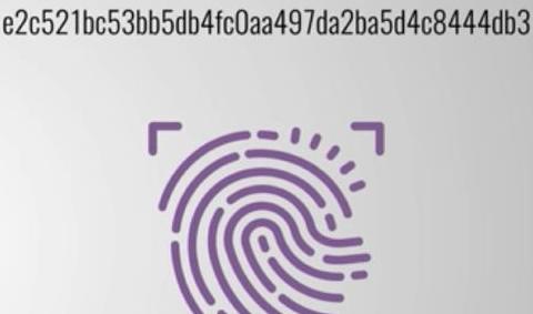 Block-Hash-Werte: Regelmäßigkeit, Spiele und die Rolle von Blockchain