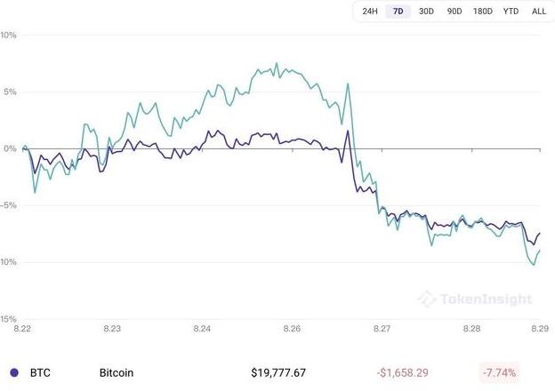 Virtual Currency Insights: Trends, Risiken und Zukunftsaussichten für Anleger