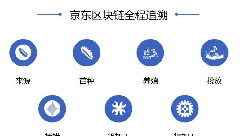 Blockchain-Technologie: Effektive Anti-Counterfeiting und Rückverfolgbarkeit für Produkte