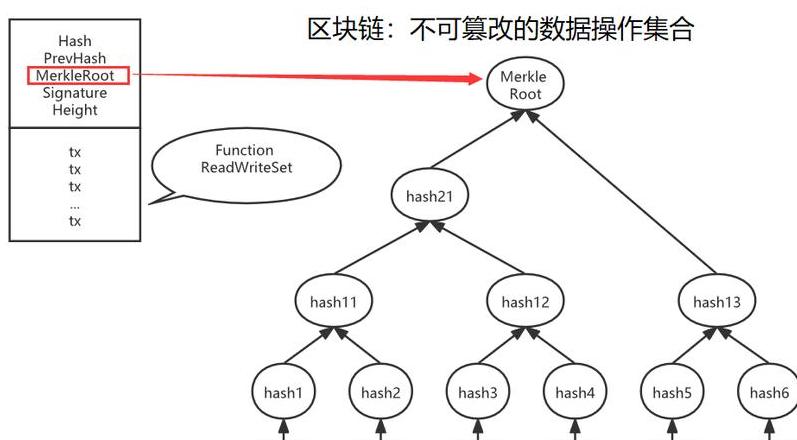 Blockchains: Public, Konsortium und Private – Unterschiede und Eigenschaften
