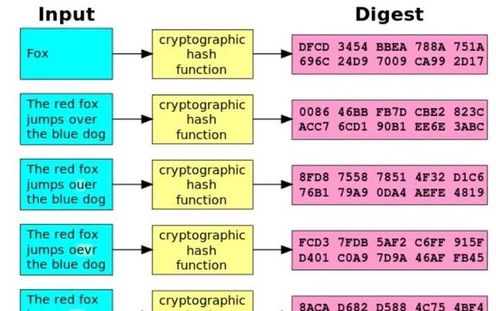 Blockchains Grundlagen: Hash-Werte & die Speicherung elektronischer Beweise