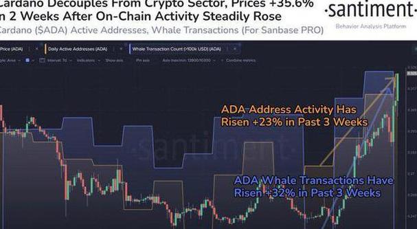 Cardano ADA: Die Native Kryptowährung und ihre Zukunftsaussichten