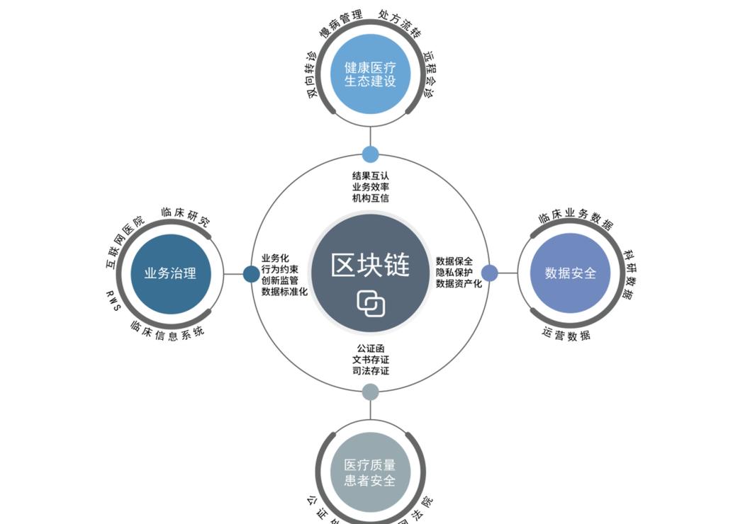 Blockchain: Alle Infos zur Technologie, Kategorien & Public Chains