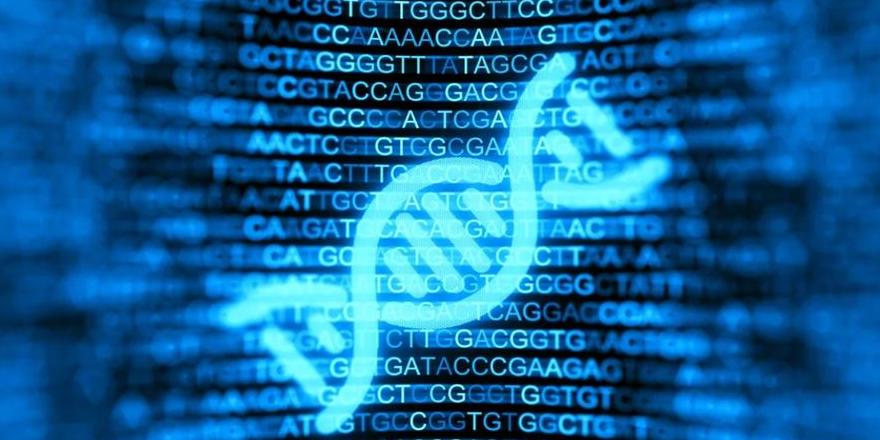Blockchain-Technologie: Schutz des politischen Produktschutzes und mehr