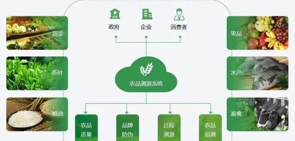 Blockchain in der Landwirtschaft: Rückverfolgbarkeitssystem und Entwicklung